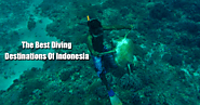 Best Diving Destinations Of Indonesia | Bali Holiday Tour Packages – Antilog Vacations