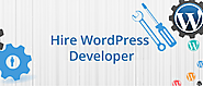 Hire WordPress Developer - CMS Developers in India