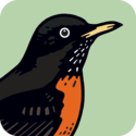 Peterson Birds — A Field Guide to Birds of North America