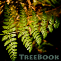 TreeBook