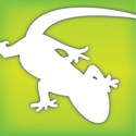 Audubon Reptiles and Amphibians - A Field Guide to North American Reptiles and Amphibians