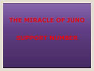 The miracle of Juno support number guide