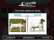 Vector Format Files