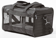 Best Pet Carriers for Large Cats