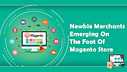 Newbie Merchants Emerging On The Foot Of Magento Store