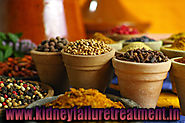 Karma Ayurveda Clinic – Ayurvedic Doctors For Kidney Failure Treatment In Madhya Pradesh(MP), Gwalior , Satna, Ujjain...