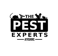 Bed Bug Infestation | Bed Bug Treatment | Bed Bug Removal | Bed Bug Control Pest Control- Stirling, Falkirk, Kilmarno...