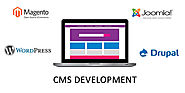 CMS Development Company | CMS Website Development Services