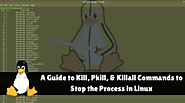 A Guide to Kill, Pkill and Killall Commands to Stop the Process in Linux(Kill Process Linux)