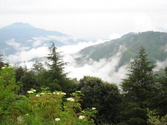 Best attractions of Chail