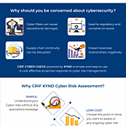 Quick & Easy Cyber Risk Assessment | Visual.ly