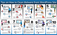 How to Remove Malware from Your WordPress Website
