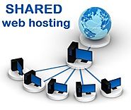 Shared web hosting solution for your business