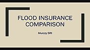 Comparison Between NFIP, Private Flood Insurance, Flood Endorsement On Homeowners Policy