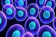 Pensum Regenerative Medicine - Stem Cells Overview