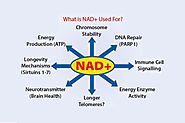 NAD The Secret of Life and Anti-Aging - Pensum Regenerative Medicine Blog
