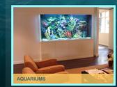 Acrylic Aquariums