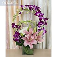 Buy Flowers And Fun Online - OyeGifts.com
