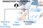 Management Accounting Assignment Help And Project Topics