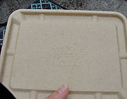 Compostable Packaging Test: Whole Foods Deli Containers | Inhabitat - Green Design, Innovation, Architecture, Green B...