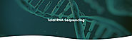 Total RNA Sequencing – CD Genomics