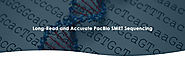 PacBio SMRT Sequencing – CD Genomics