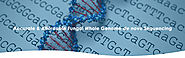 Fungal Whole Genome de novo Sequencing – CD Genomics