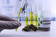 Health Conditions that Benefit from Cannabis Treatments