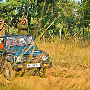 Jungle Safari in Madhya Pradesh | Visual.ly