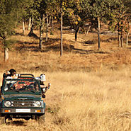 Wildlife Safari in India | Visual.ly