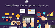 Ways To Refine Developer Skills For Your Wordpress Development Company