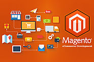 Magento Services: Best E-Commerce Platform