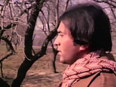 Zindagi ke safar mein guzar jaate hain -AAP KI KASAM (1974)
