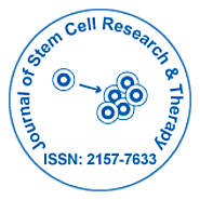 Exploring the Recent Advances in Stem Cell Research | OMICS International