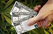Getting a Medical Weed Card - Important Things to Keep in Mind