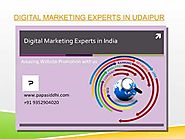 Digital Marketing Expert in Udaipur