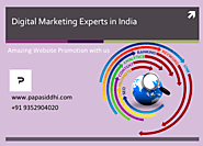 Digital Marketing Experts in Udaipur