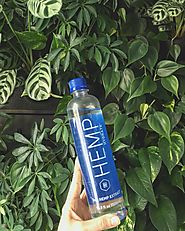 INTERESTED IN DISTRIBUTION OR TO CARRY HEMP HYDRATE IN YOUR STORES, WE’RE HAPPY TO ANSWER YOUR QUESTIONS!