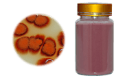 Benefits of Eating Red Yeast Rice Powder