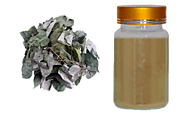 Get Horny Goat Weed Extract from Qualityherb