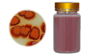 Health Benefits of Red Yeast Rice Powder