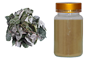 Health Benefits of Using Horny Goat Weed Extract - qualityherb’s diary