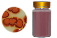 Online Shop Red Yeast Rice Powder at Lowest Price