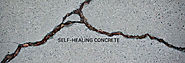 Bioconcrete or Self-healing Concrete to Repair Cracks -BuildersMART