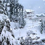 Shimla Tour Packages || Himachal Tour Travel