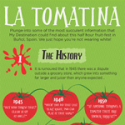 Infographic Guide To La Tomatina Festival
