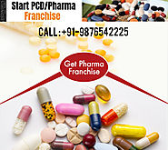 The Process of Starting a Medicine Franchise Company in India