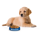 Getting branded Pet dog products for better results