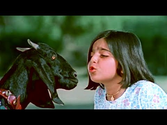 Kali Re Kali Re Tu Toh Kali Hai - Superhit Children Hindi Song - Minoo