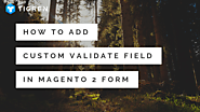 How To Add Custom Validate Field In Magento 2 Form? - Tigren
